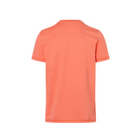 Футболка мужская Roc