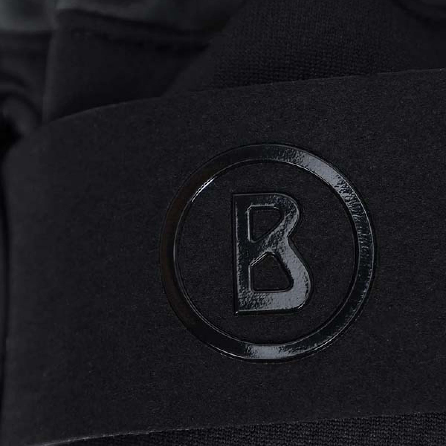 Перчатки мужские Bogner F+I Erko R-TEX XT