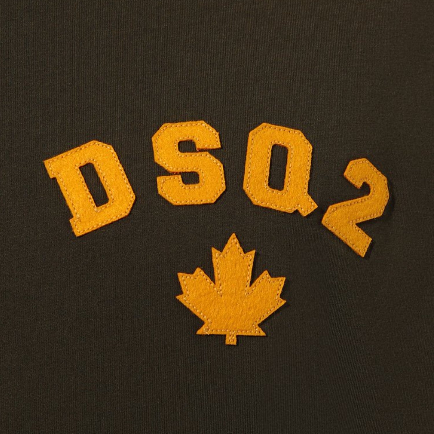 Футболка мужская DSQUARED2